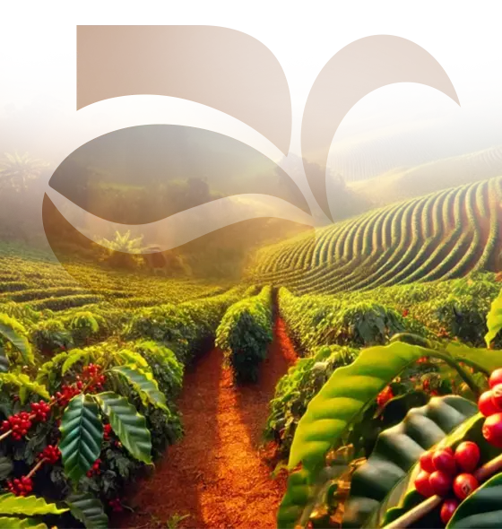 Freshly Roasted Coffee Beans